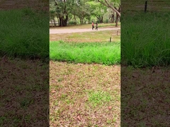 혁신적인 기술 100W 휴대용 태양 전지 패널 야외 모험