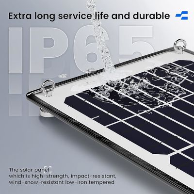 10W 12V 자기 태양 전지 충전기 트리클 유지보수 선박용 방수